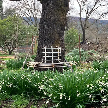 Napa Farmhouse Inn-2